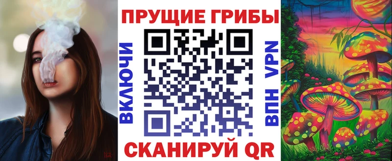 Псилоцибиновые грибы Magic Shrooms  мега ССЫЛКА  Ачинск  продажа наркотиков 